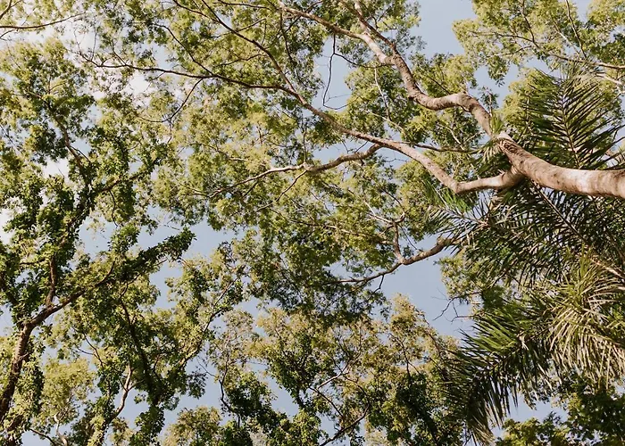 Fazenda Hotel Bem Ecologico
